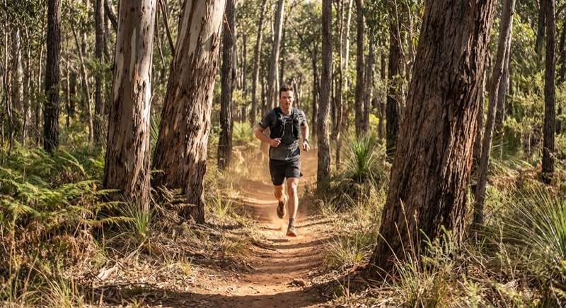 Runners competing in a trail run event